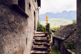 Casa Dell'Artista