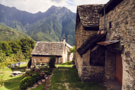 Casa Dell'Artista